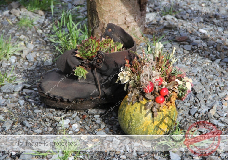Urlaub Herbst 35 Saalbach, Okt. 2012