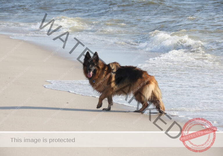 Urlaub Insel Sylt, Mai 2023 - extra, Eyka 06