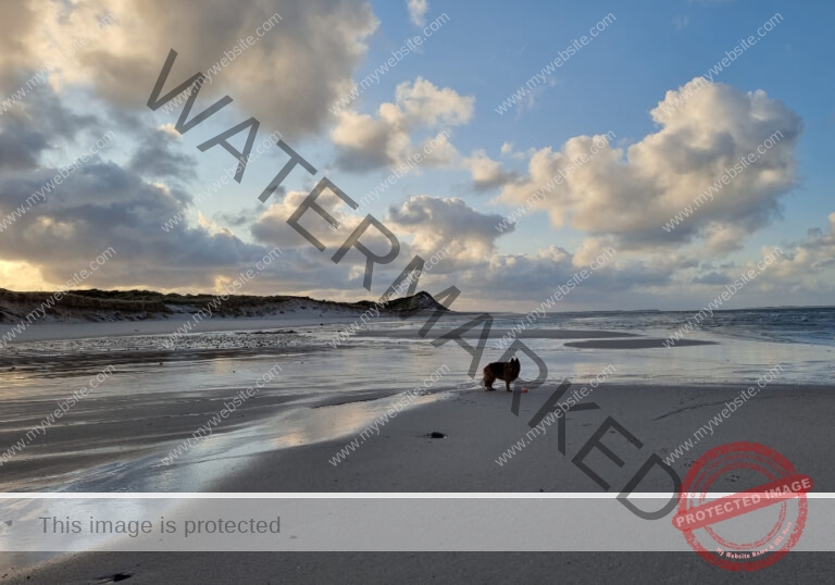 Urlaub Insel Sylt, Mai 2023 - extra, Eyka 13