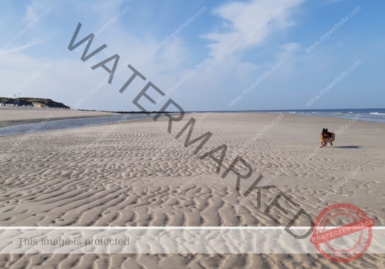 Urlaub Insel Sylt, Mai 2023 - extra, Eyka 17