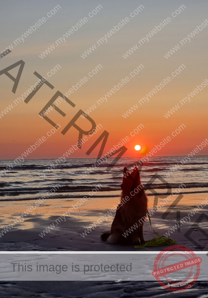 toller Sonnenuntergang