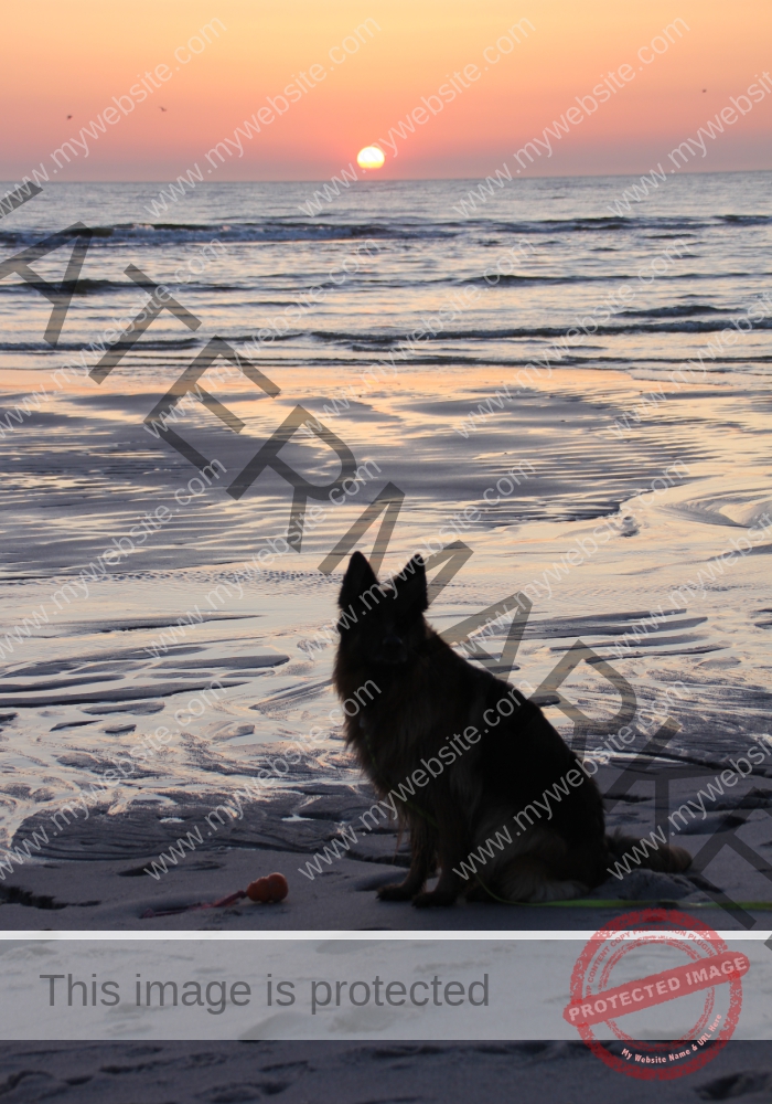 Urlaub Insel Sylt, Mai 2023 - extra, Eyka 20