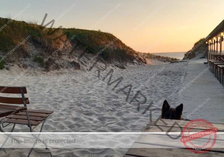Urlaub Insel Sylt, Mai 2023 - extra, Eyka 23