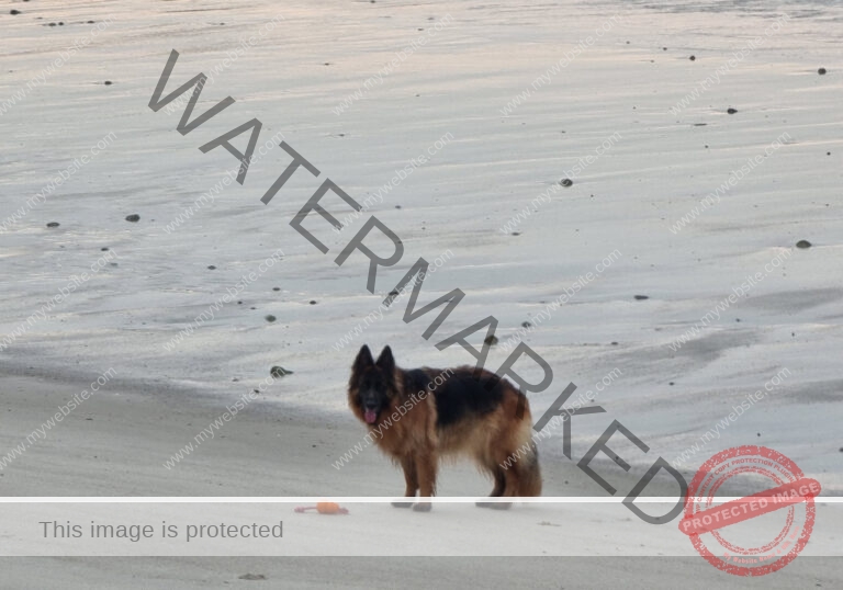 ist leider kein Schnee...
