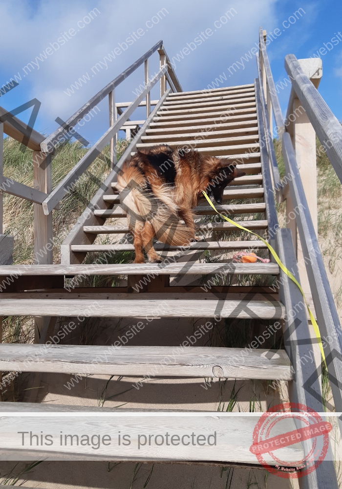 da weht's einem ja den Ball weg