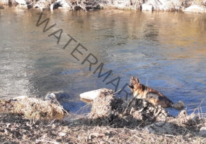 Eyka im Wasser 017