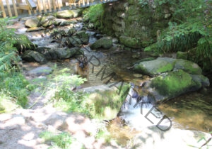 Eyka im Wasser 018