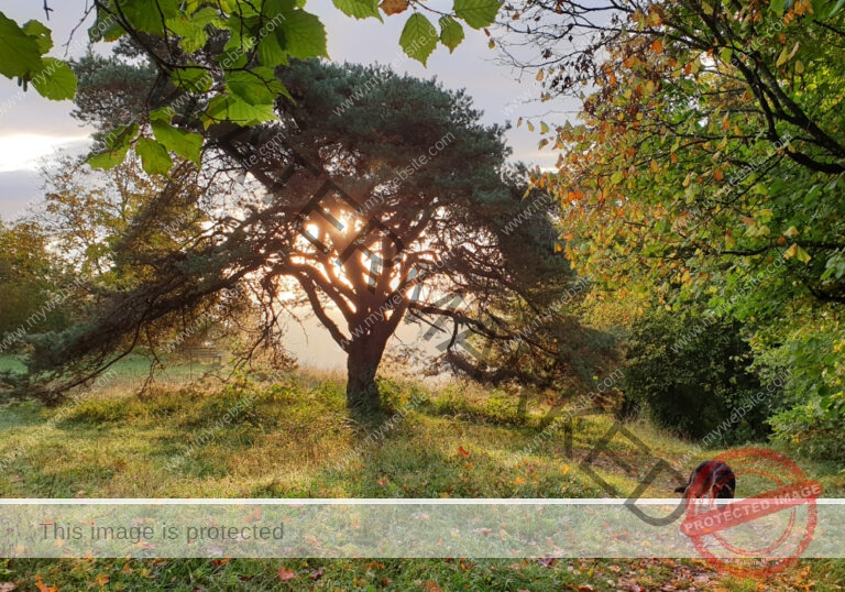 Eyka in Landschaft 002