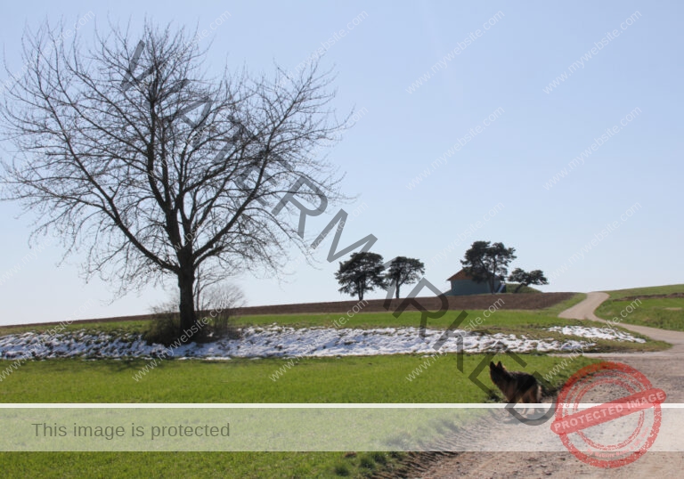 Eyka in Landschaft 004