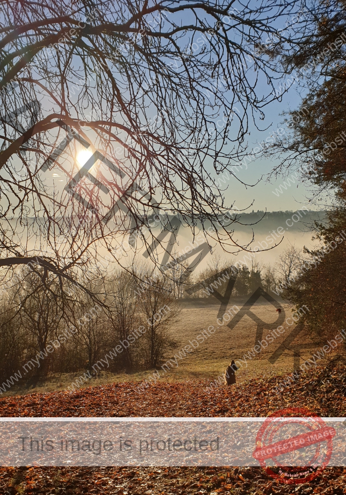 Eyka in Landschaft 005