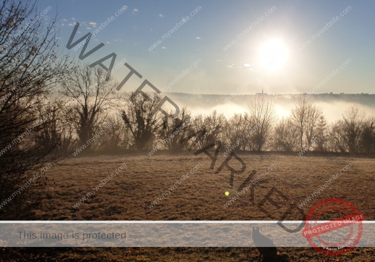 Eyka in Landschaft 0064