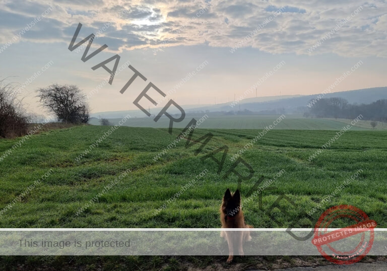 Eyka in Landschaft 007