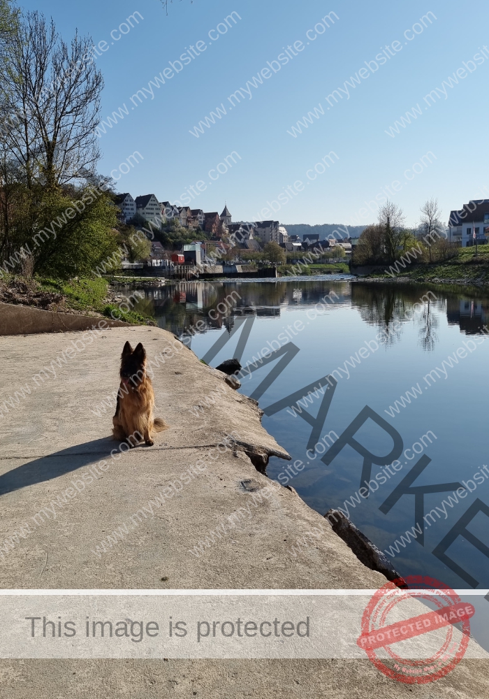 Eyka in Landschaft 008