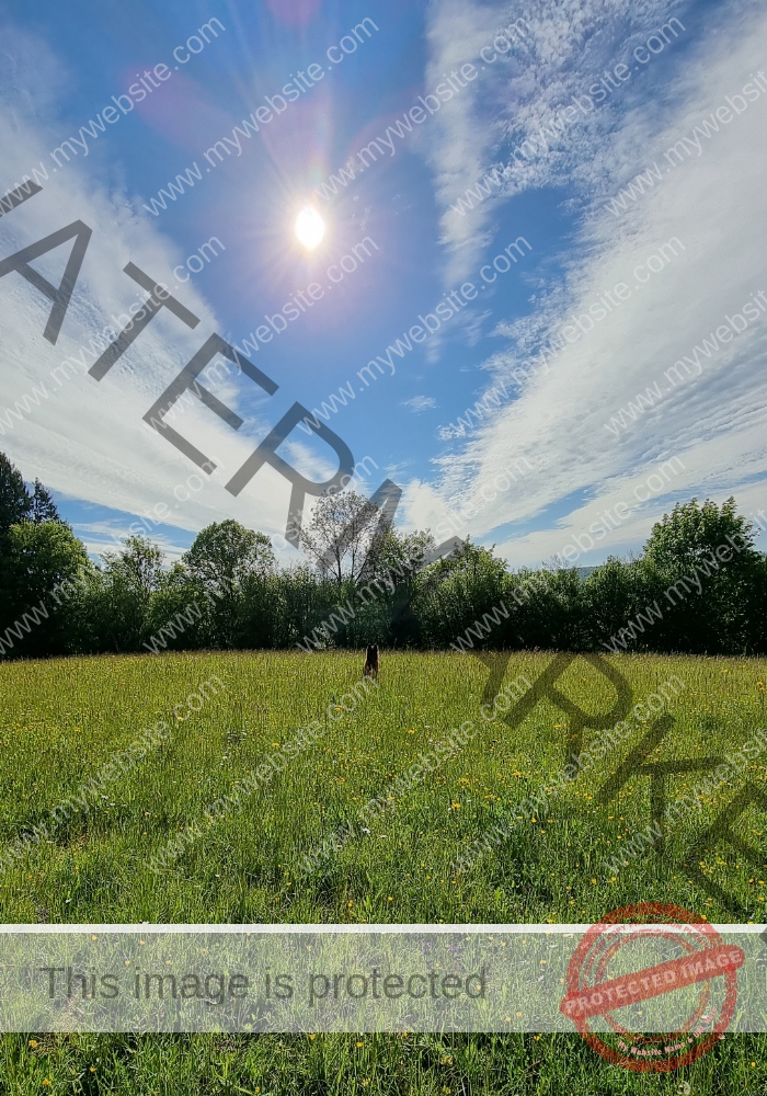 Eyka in Landschaft 010