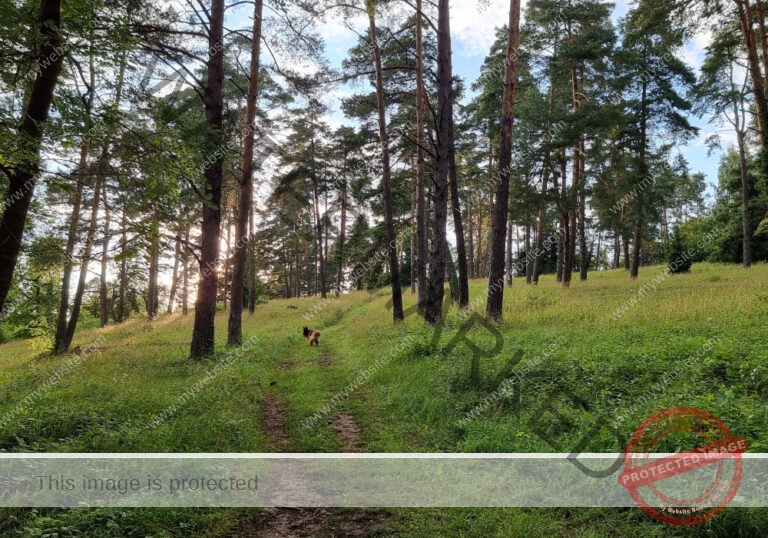 Eyka in Landschaft 011