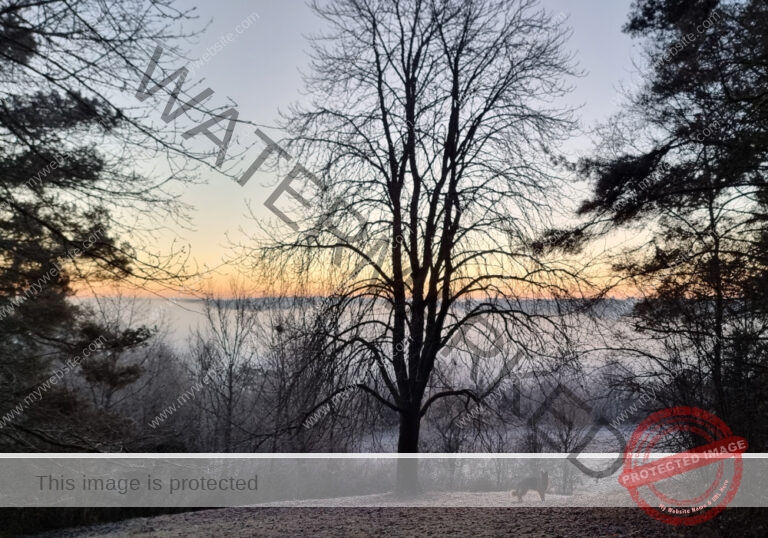 Eyka in Landschaft 018