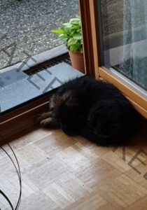Eykas Schlafplätze 003