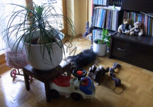 Eykas Schlafplätze 012