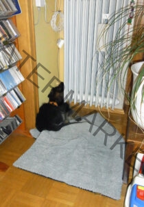 Eykas Schlafplätze 013