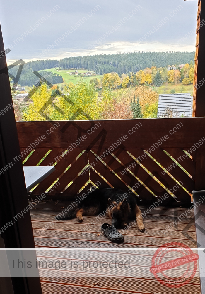 Eyka Urlaub 2019, Unterkirnach 02