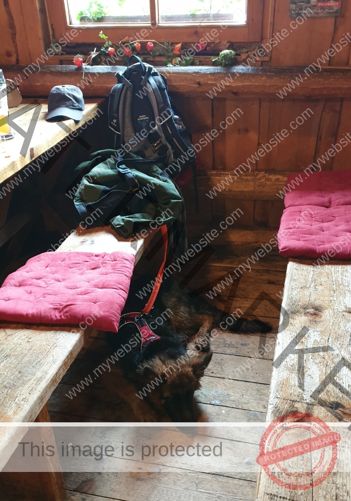 Eyka Urlaub 2019, Unterkirnach 29