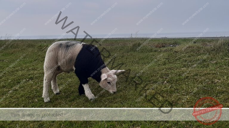 LB verschiedenes 019