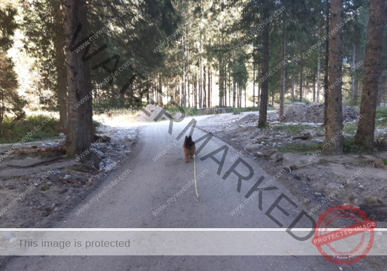 Urlaub Bad Gastein, Sept. 2023 - Eyka 04