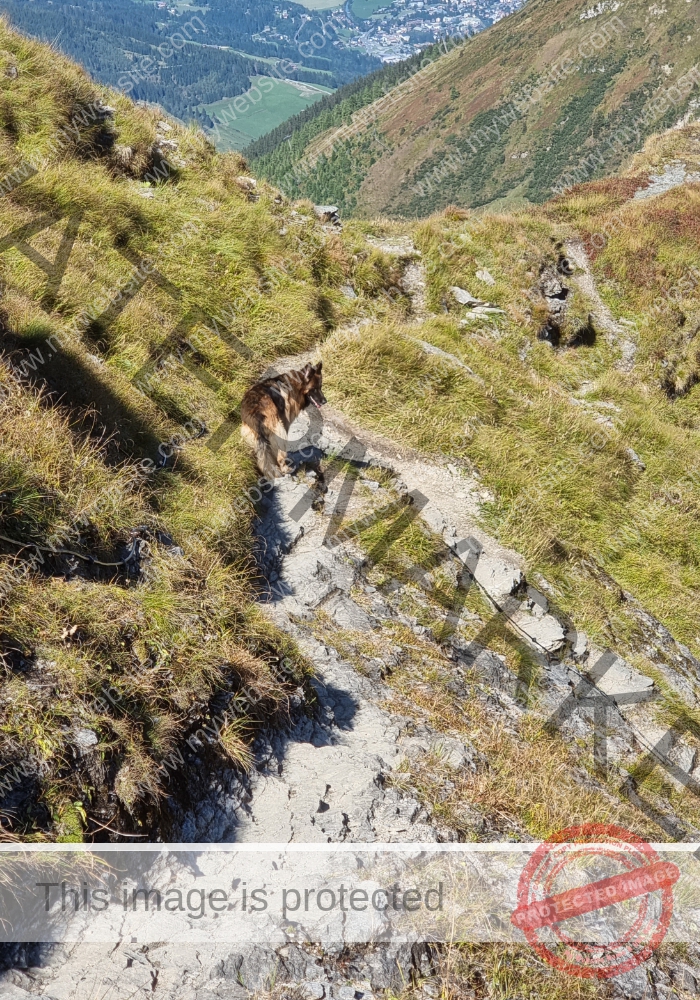 Urlaub Bad Gastein, Sept. 2023 - Eyka 16