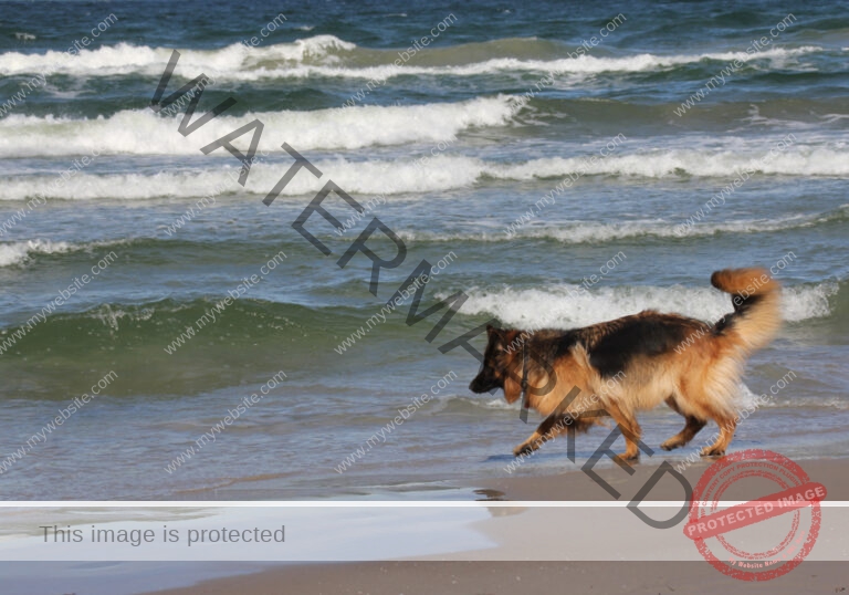 Urlaub Frühling 23 Binz-Rügen, Eyka Mai 2022