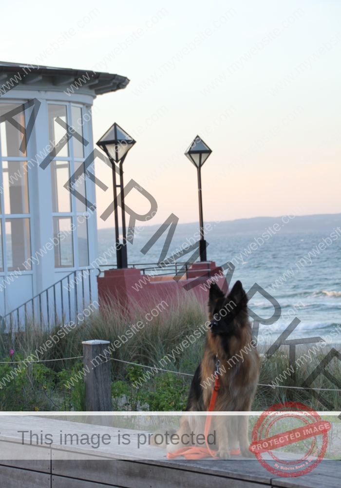 Urlaub Frühling 27 Binz-Rügen, Eyka Mai 2022