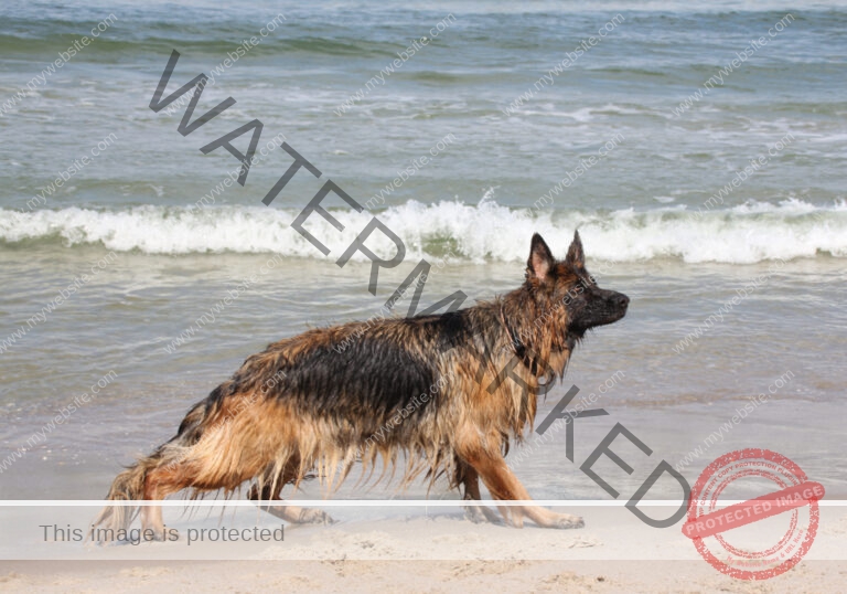 Urlaub Frühling 31 Binz-Rügen, Eyka Mai 2022