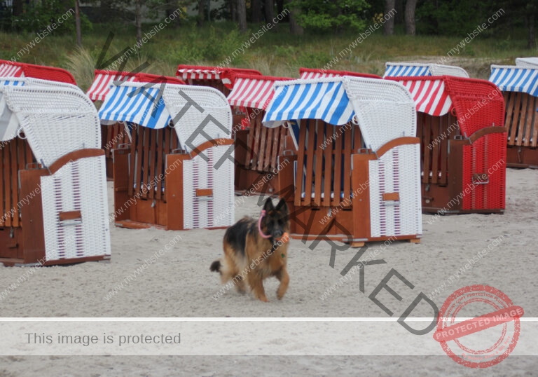 Urlaub Frühling 41 Binz-Rügen, Eyka Mai 2022