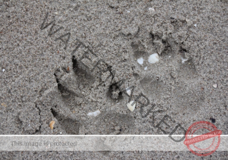 Urlaub Frühling 44 Binz-Rügen, Eyka Mai 2022