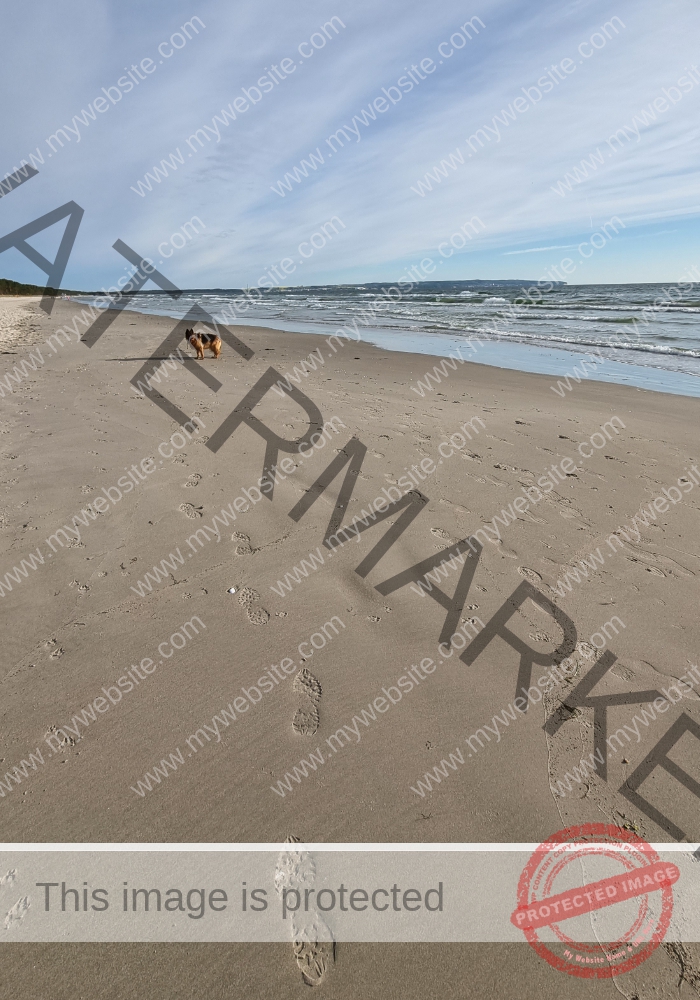 Urlaub Frühling 53 Binz-Rügen, Eyka Mai 2022