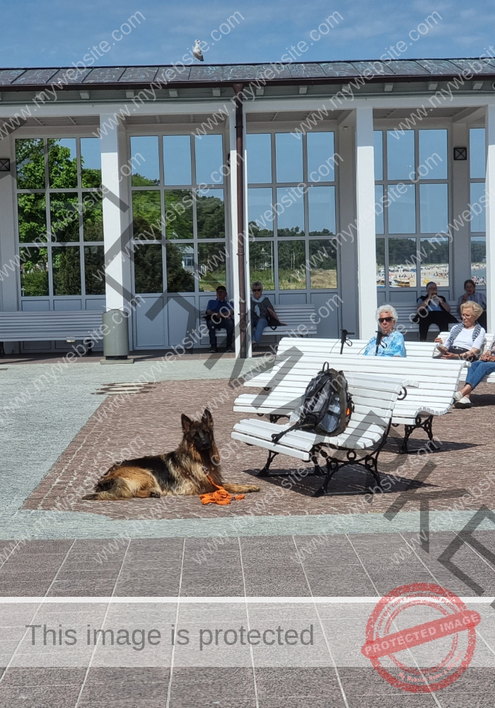 Urlaub Frühling 54 Binz-Rügen, Eyka Mai 2022