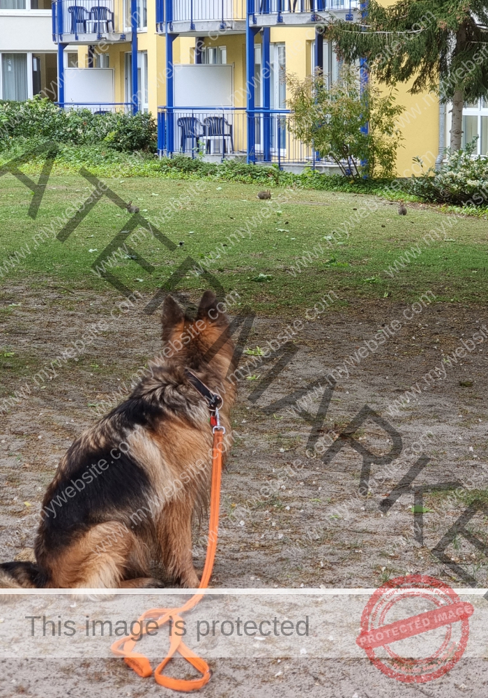 Urlaub Frühling 55 Binz-Rügen, Eyka Mai 2022