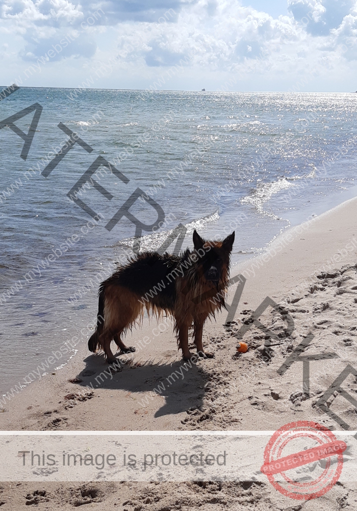 Urlaub Frühling 56 Binz-Rügen, Eyka Mai 2022