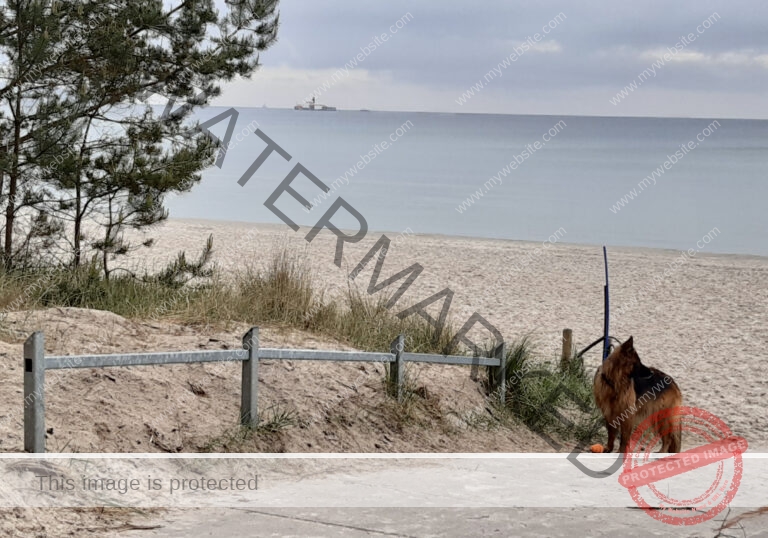 Urlaub Frühling 57 Binz-Rügen, Eyka Mai 2022