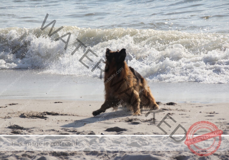 gut, da kommt der Ball