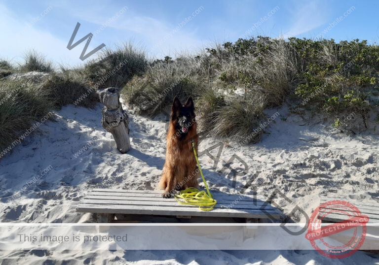Urlaub Insel Sylt, Mai 2023 - extra, Eyka 40