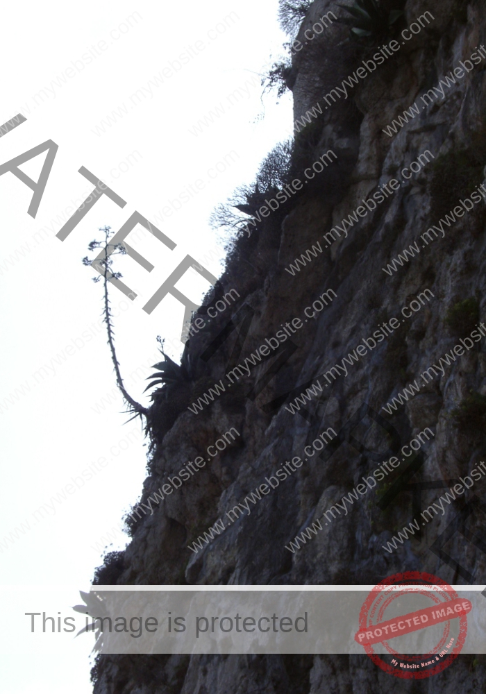 LB Themen, sehen, Bordighera 29