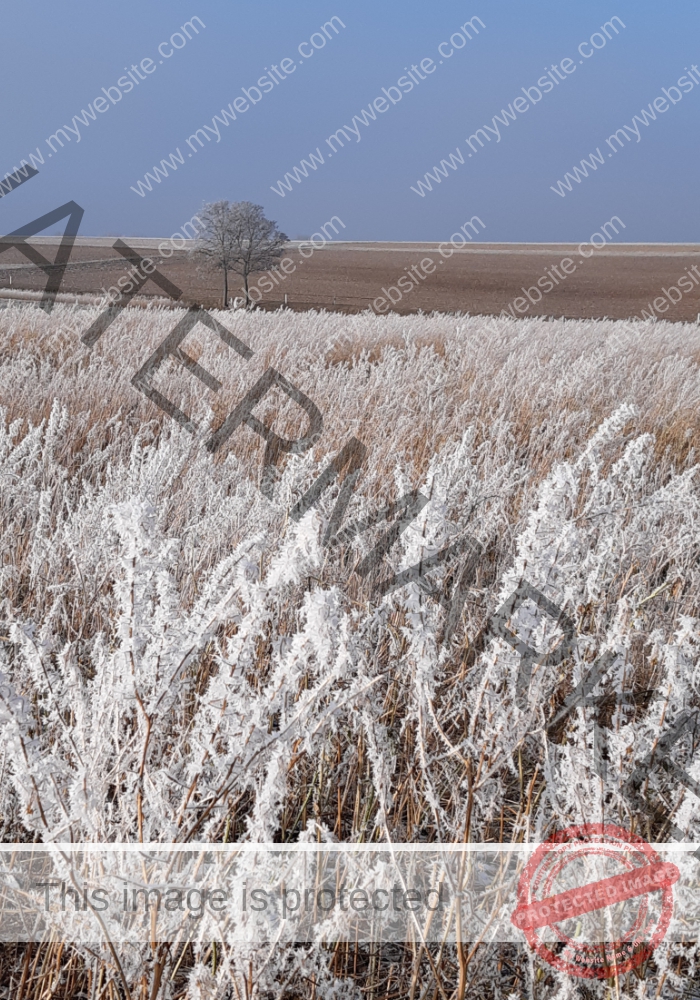 ruh - Hohenberg-Runde 2024 -109