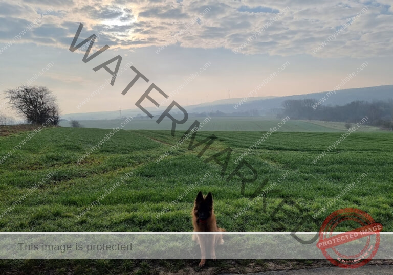 sehenswertes, Landschaft 026