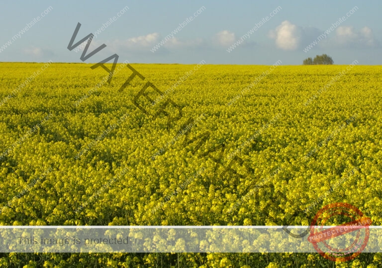 sehenswertes, Landschaft 033