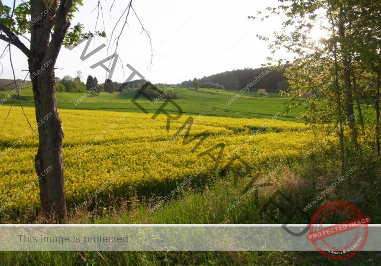 sehenswertes, Landschaft 035