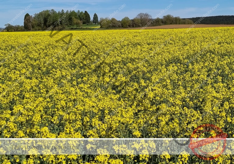sehenswertes, Landschaft 036