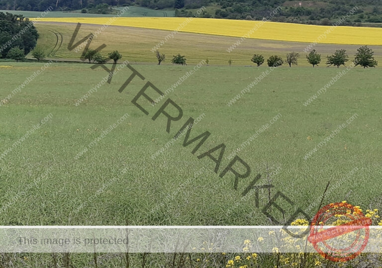 sehenswertes, Landschaft 042