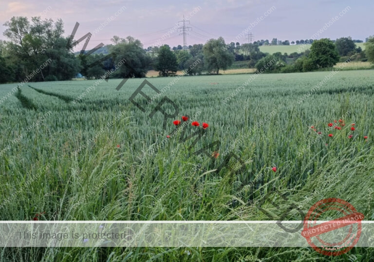 sehenswertes, Landschaft 048
