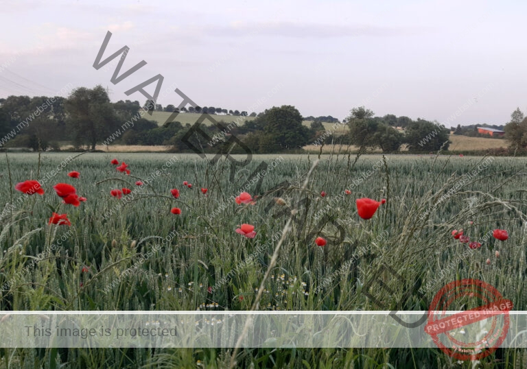 sehenswertes, Landschaft 049