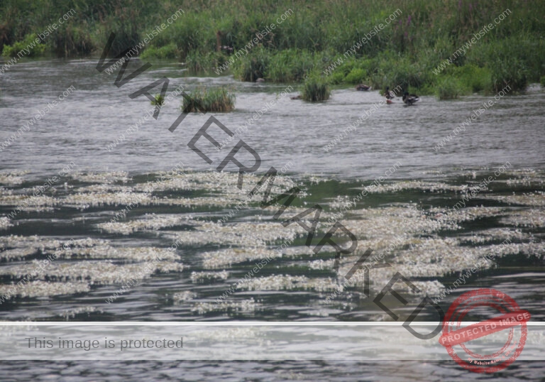 sehenswertes, Wasser 030
